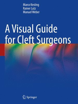 Marco Kesting, Rainer Lutz, Manuel Weber - Visual Guide for Cleft Surgeons, Häftad