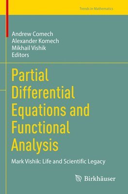 Andrew Comech, Alexander Komech, Mikhail Vishik - Partial Differential Equations and Functional Analysis, Häftad