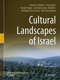 bokomslag Cultural Landscapes of Israel