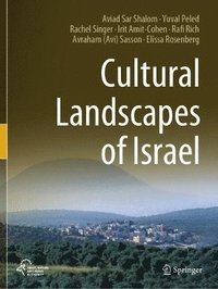 bokomslag Cultural Landscapes of Israel