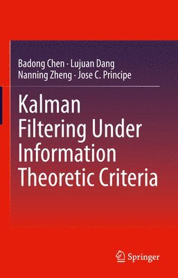 bokomslag Kalman Filtering Under Information Theoretic Criteria