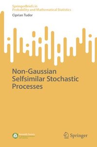 bokomslag Non-Gaussian Selfsimilar Stochastic Processes