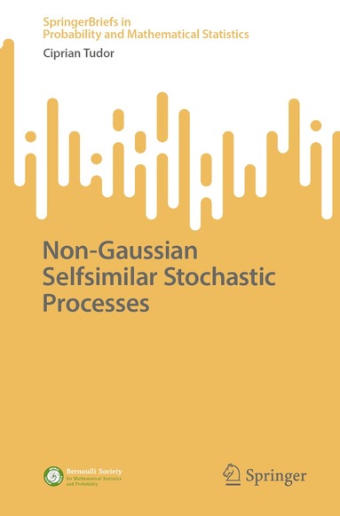 Ciprian Tudor - Non-Gaussian Selfsimilar Stochastic Processes, Häftad