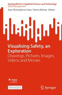 bokomslag Visualising Safety, an Exploration