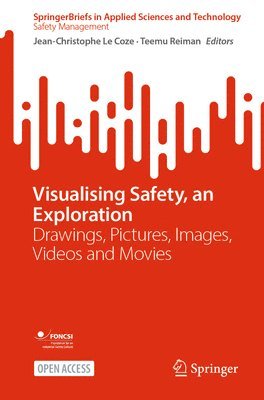 Visualising Safety, an Exploration 1