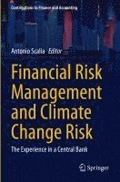 bokomslag Financial Risk Management and Climate Change Risk