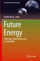 Xiaolin Wang - Future Energy, Häftad