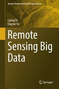 bokomslag Remote Sensing Big Data