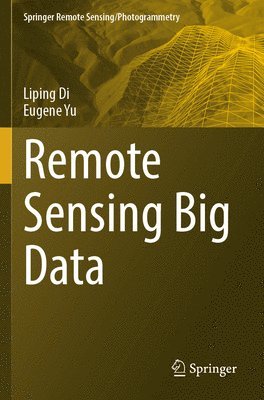 bokomslag Remote Sensing Big Data