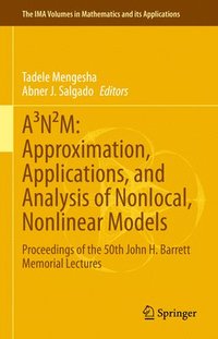 bokomslag ANM: Approximation, Applications, and Analysis of Nonlocal, Nonlinear Models