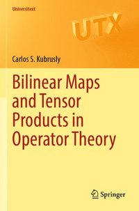 bokomslag Bilinear Maps and Tensor Products in Operator Theory