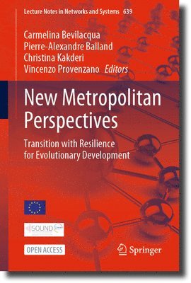 New Metropolitan Perspectives 1