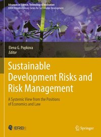 bokomslag Sustainable Development Risks and Risk Management
