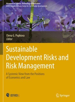 bokomslag Sustainable Development Risks and Risk Management