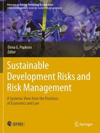 bokomslag Sustainable Development Risks and Risk Management