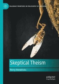 bokomslag Skeptical Theism