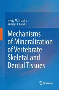 bokomslag Mechanisms of Mineralization of Vertebrate Skeletal and Dental Tissues