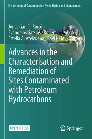 Jonás García-Rincón, Evangelos Gatsios, Robert J. Lenhard, Estella A. Atekwana, Ravi Naidu - Advances in the Characterisation and Remediation of Sites Contaminated with Petroleum Hydrocarbons, Häftad