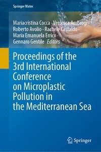 bokomslag Proceedings of the 3rd International Conference on Microplastic Pollution in the Mediterranean Sea