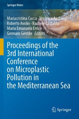 Mariacristina Cocca, Veronica Ambrogi, Roberto Avolio, Rachele Castaldo, Maria Emanuela Errico, Gennaro Gentile - Proceedings of the 3rd International Conference on Microplastic Pollution in the Mediterranean Sea, Häftad