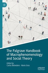 bokomslag Palgrave Handbook of Macrophenomenology and Social Theory