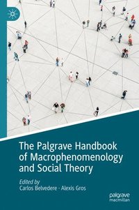 bokomslag The Palgrave Handbook of Macrophenomenology and Social Theory