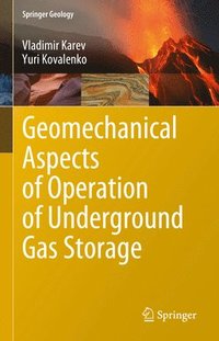 bokomslag Geomechanical Aspects of Operation of Underground Gas Storage