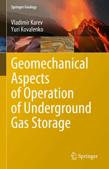 Vladimir Karev, Yuri Kovalenko - Geomechanical Aspects of Operation of Underground Gas Storage, Inbunden