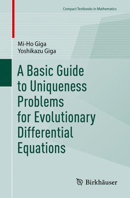 A Basic Guide to Uniqueness Problems for Evolutionary Differential Equations 1