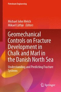 bokomslag Geomechanical Controls on Fracture Development in Chalk and Marl in the Danish North Sea