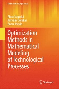 bokomslag Optimization Methods in Mathematical Modeling of Technological Processes