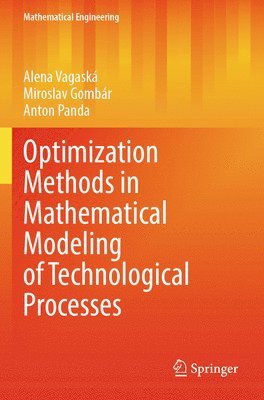 bokomslag Optimization Methods in Mathematical Modeling of Technological Processes