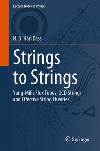 bokomslag Strings to Strings