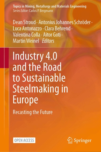 Dean Stroud, Antonius Johannes Schröder, Luca Antonazzo, Clara Behrend, Valentina Colla, Aitor Goti, Martin Weinel - Industry 4.0 and the Road to Sustainable Steelmaking in Europe, Inbunden