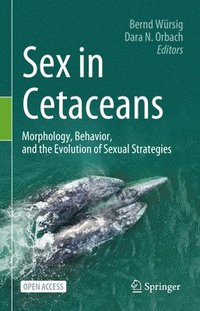 bokomslag Sex in Cetaceans