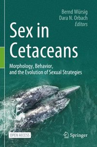 bokomslag Sex in Cetaceans