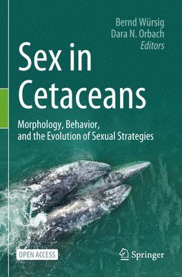 Sex in Cetaceans 1
