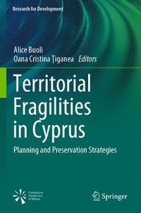 bokomslag Territorial Fragilities in Cyprus