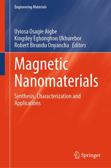 bokomslag Magnetic Nanomaterials