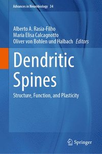bokomslag Dendritic Spines