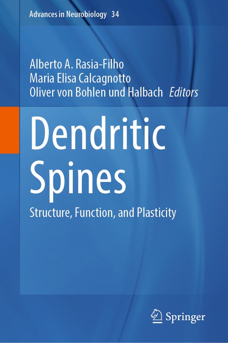 Dendritic Spines 1