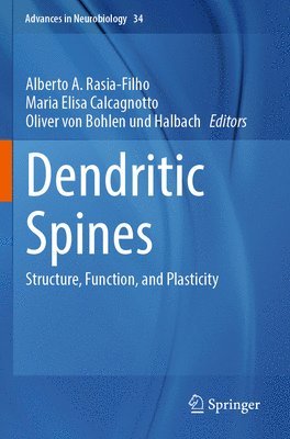 Dendritic Spines 1