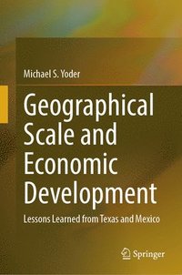 bokomslag Geographical Scale and Economic Development