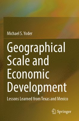 bokomslag Geographical Scale and Economic Development