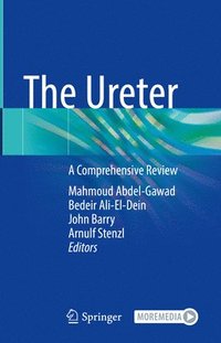 bokomslag The Ureter