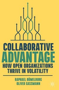 bokomslag Collaborative Advantage