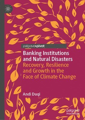 bokomslag Banking Institutions and Natural Disasters