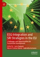 Luca Spataro, Maria Cristina Quirici, Gabriella Iermano - ESG Integration and SRI Strategies in the EU, Häftad