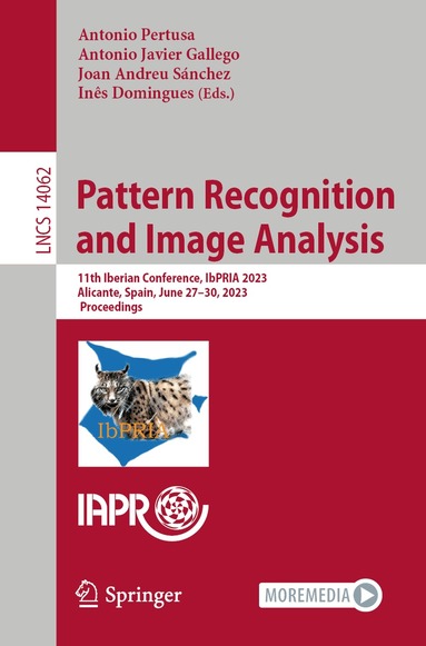 Antonio Pertusa, Antonio Javier Gallego, Joan Andreu Sánchez, Inês Domingues - Pattern Recognition and Image Analysis, Häftad