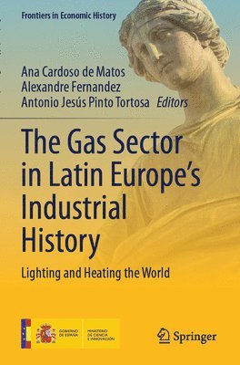 bokomslag The Gas Sector in Latin Europes Industrial History